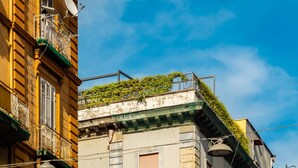 A building with a green vine-covered balcony, a satellite dish, and a clear blue sky.