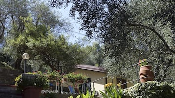 Casa | 1 quarto