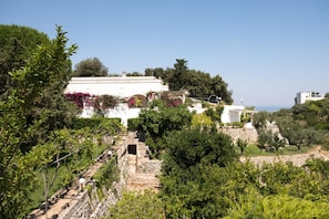 Apartment | 2 Schlafzimmer