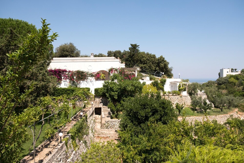 Relais Patriarca image