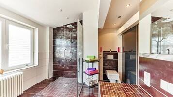 Shower, towels, soap, toilet paper