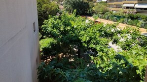 A courtyard with lush green plants and a view of residential buildings in the background.