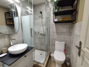 Regadera, secadora de cabello, papel de baño 