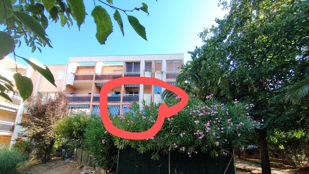 A building with multiple balconies, surrounded by dense greenery and flowering plants.