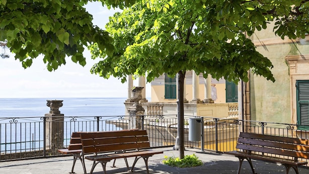 A bench under a tree by a waterfront with a view of the sea. - Cozy Holiday Home in Camogli (Camogli)