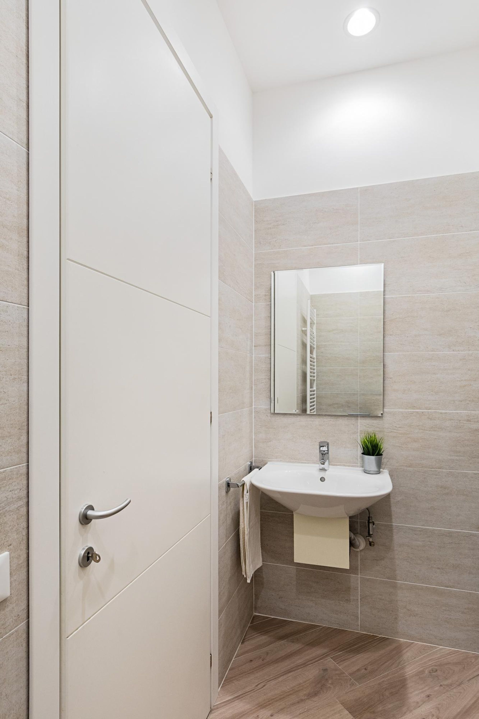 Un baño moderno con una puerta blanca, un lavamanos con un espejo encima y una pequeña planta en maceta a un lado del lavamanos.