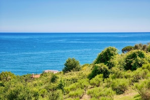 A coastal landscape with a view of the sea and dense greenery. - Le Orchidee 14 con Vista Mare by Wonderful Italy (Sanremo)