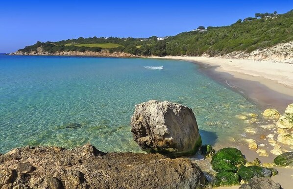 Plage à proximité, serviettes de plage