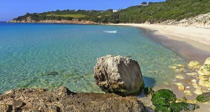 Villa A Liccia au coeur du maquis avec piscine privée, au milieu de la nature