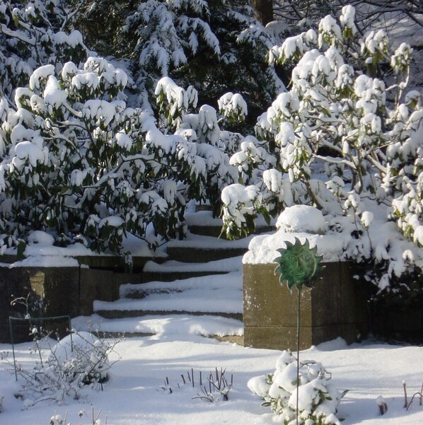 Property grounds - Apartment 4-6 pers. quiet, close to hiking trails and ski area (Winterberg)