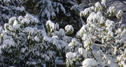 Wohnung 4-6 Pers. ruhig, nah an Wanderwegen u. Skigebiet
