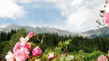 A mountainous landscape with dense forests and a clear sky.