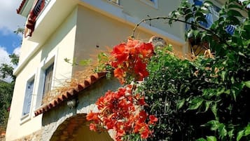 Fachada