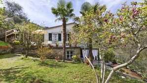 A house with a stone facade, a palm tree, and flowering trees in the yard. - Villa Rica by Wonderful Italy (Santa Margherita Ligure)