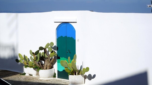 A white wall with a blue door and three potted cacti. - Isabella Apartment by Wonderful Italy (Ostuni)