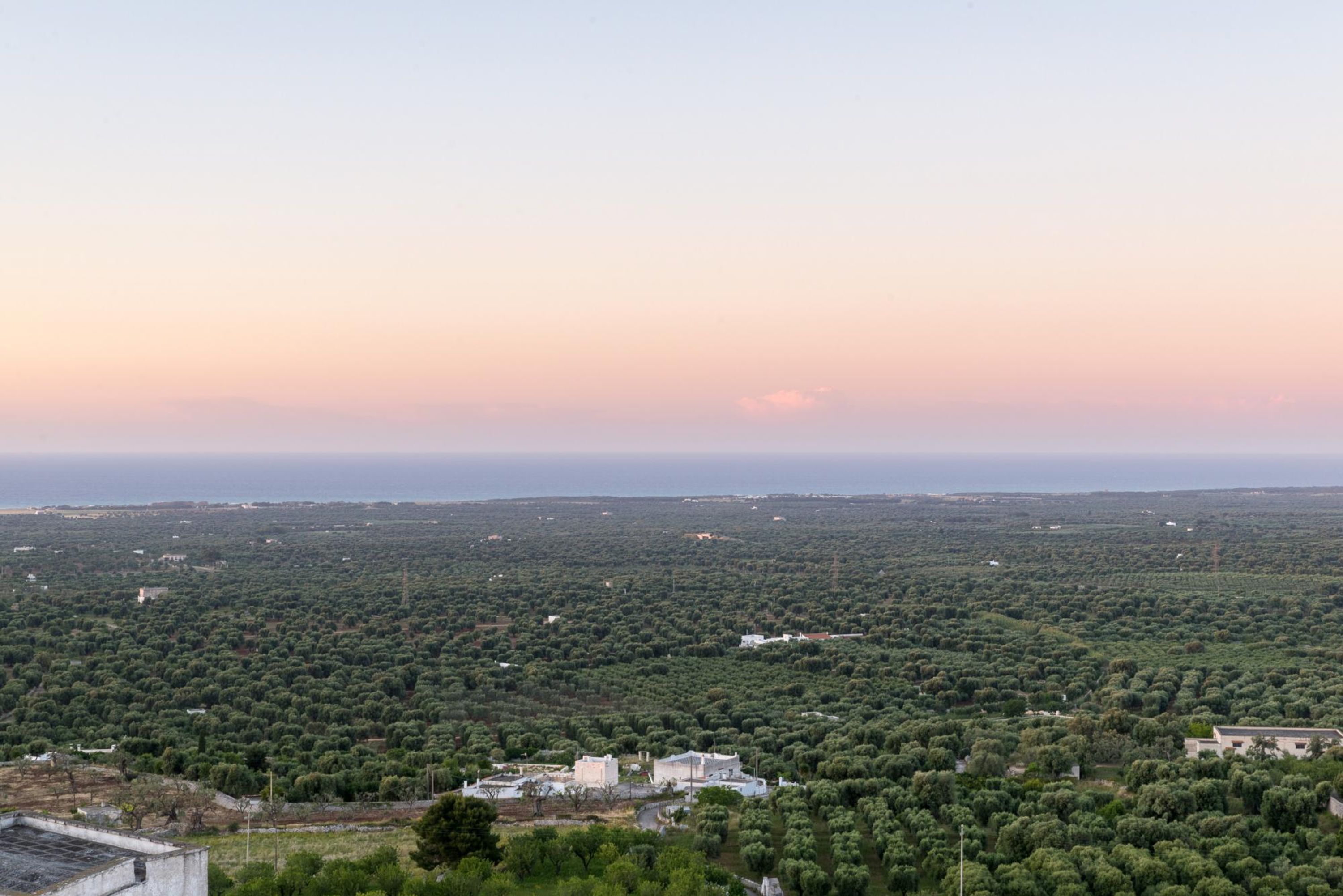 A landscape view of a coastal area with scattered buildings amidst dense greenery.