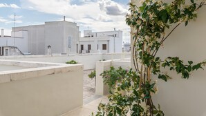 A rooftop terrace with white buildings, a clear sky, and a climbing plant with white flowers.