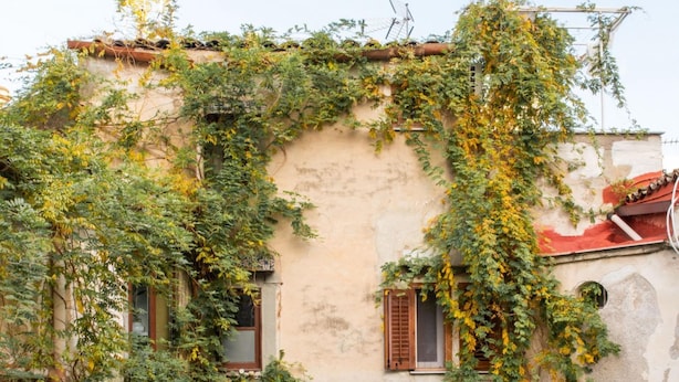 A building with ivy-covered walls and a courtyard with outdoor seating. - Iconic Apt in Porta Carini by Wonderful Italy (Palermo)