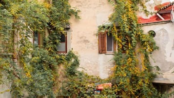 Apartamento | 3 dormitorios