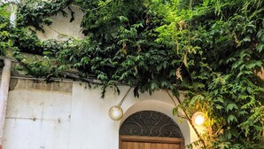 A wooden door with a metal arch, a mailbox, and a potted plant. - Iconic Apt in Porta Carini by Wonderful Italy (Palermo)