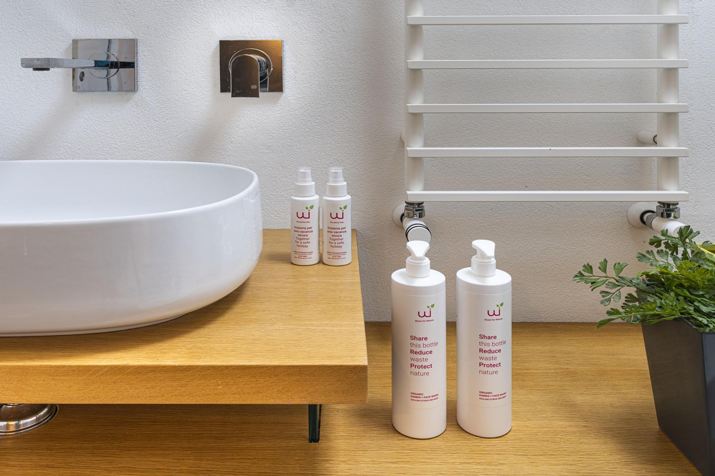 A bathroom with a large white sink, two bottles of skincare products, and a potted plant.