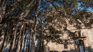 Un bâtiment historique doté d’une façade en pierre et bordé de grands arbres.