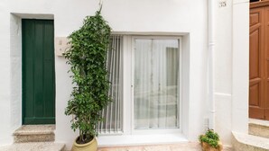 A building with a green door, a potted plant, and a sliding glass door.