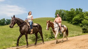 Miscellaneous - Perfect Place (Sevierville)