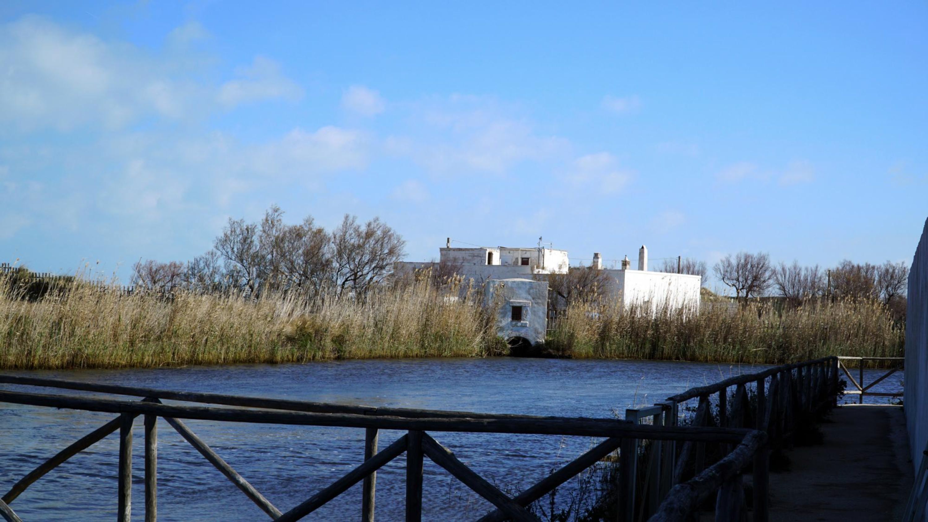 A riverside view with a wooden pier leading to a building surrounded by tall grasses.