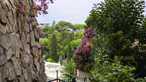 A stone staircase leading up to a building, surrounded by lush greenery and purple flowers. - Casa Bianca a Bogliasco by Wonderful Italy (Bogliasco)