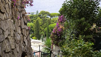 Casa | 3 camere