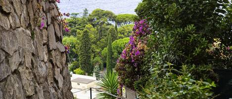 Departamento | 3 habitaciones