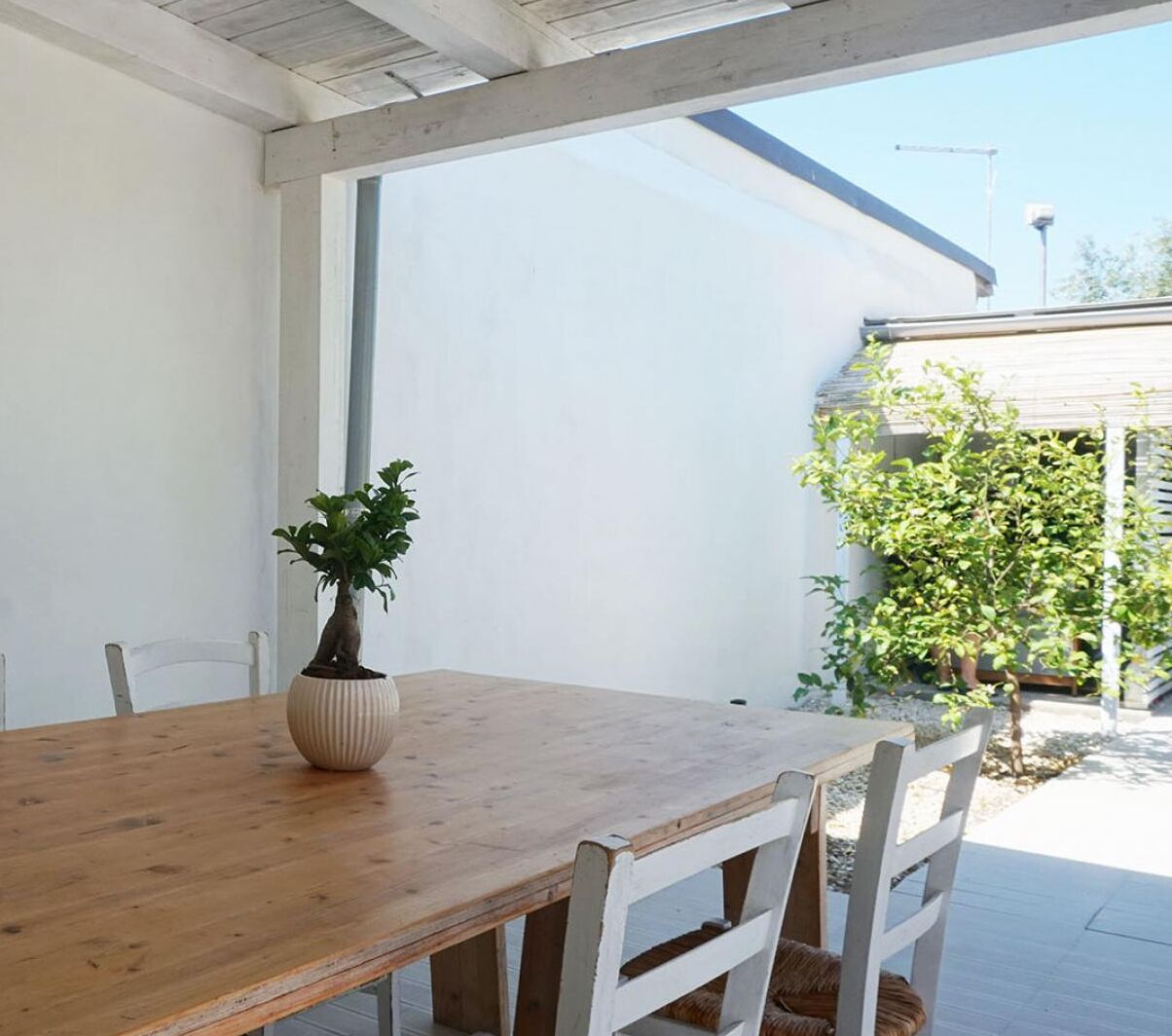 A wooden table with a potted plant, white chairs, and a white wall.