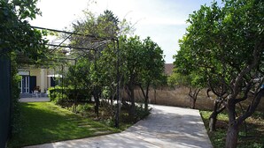 A residential driveway with a concrete path, surrounded by trees and a house with a porch. - Villa Flores a Mondello by Wonderful Italy (Palermo)