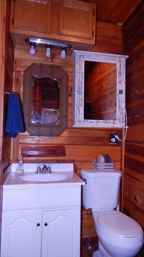Shower, towels, soap, toilet paper