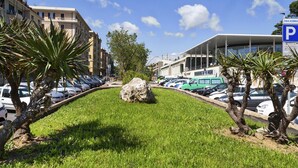 A parking lot with a large rock in the center, surrounded by grass and palm trees.