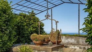 A garden with potted cacti and a metal pergola structure. - Loft Sole by Wonderful Italy (Giarre)