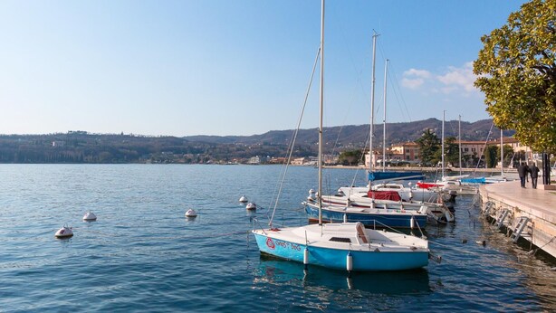A marina with several boats docked, a clear sky, and a distant shoreline with buildings and hills.
