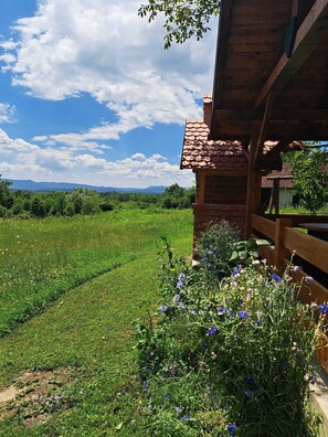 House (One Bedroom Holiday Home with Terrace) | Exterior - Kokotova Hiža (Konjšcina)