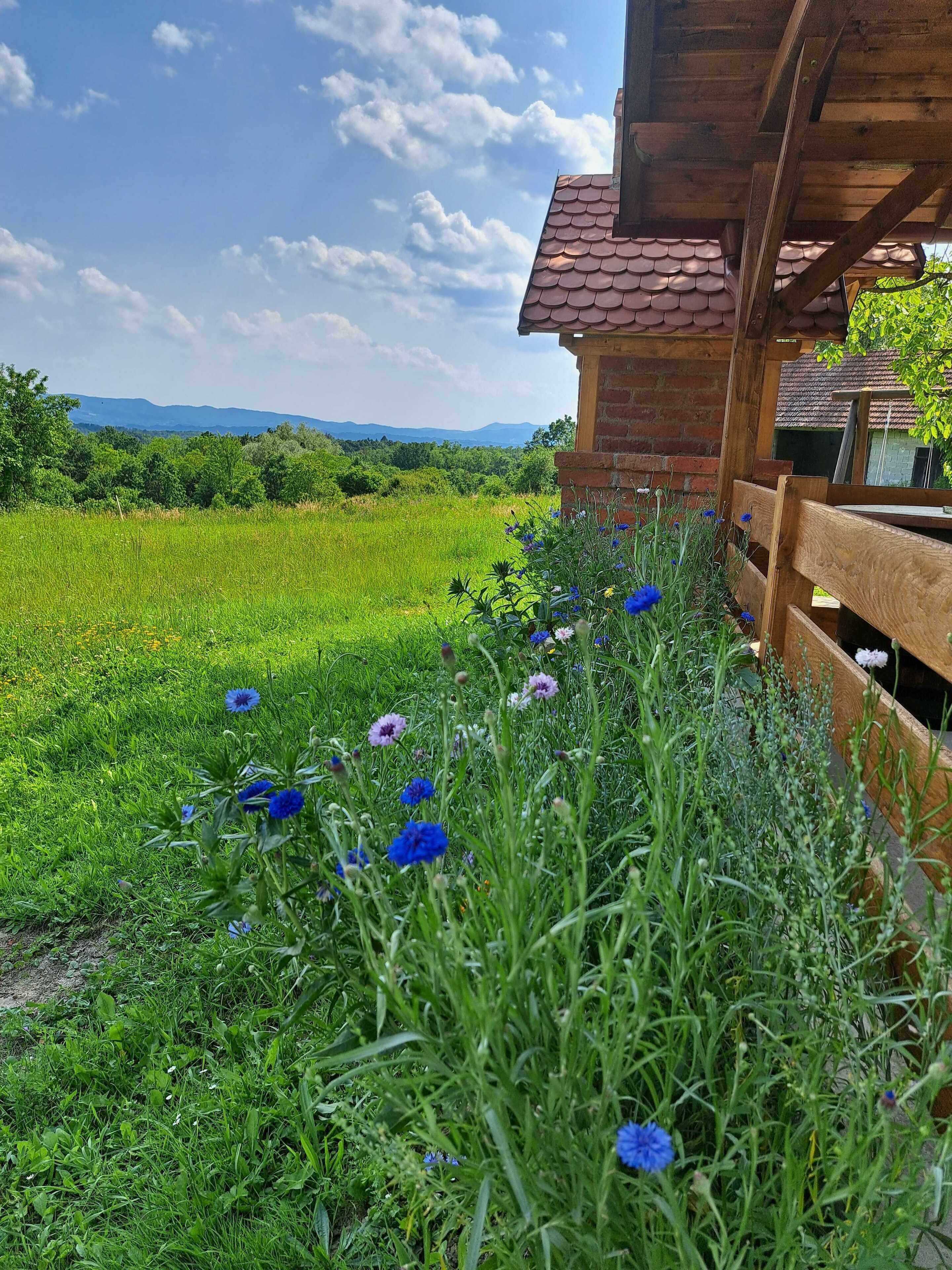 House (One Bedroom Holiday Home with Terrace) | Exterior
