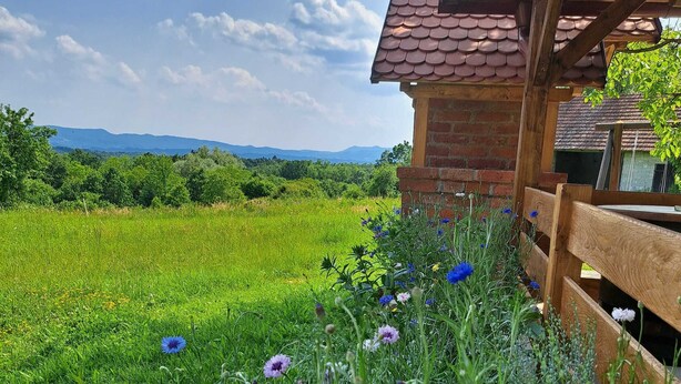 Ein rustikales Holzhaus mit Bruchsteinfundament, umgeben von einem üppigen, grünen Feld voller Wildblumen.