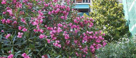 Een gebouw met balkons en een tuin vol roze bloemen.