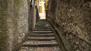 A narrow stone staircase in a historic building with moss-covered walls and a rustic appearance. - Santa Chiara Apartment by Wonderful Italy (Genoa)