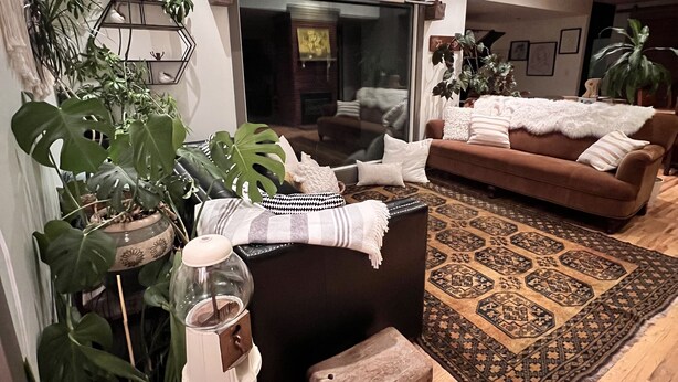 A cozy living room with a brown sofa, a patterned rug, and various plants. - Unique Cottage near Canyon Lands National Park (Monticello)