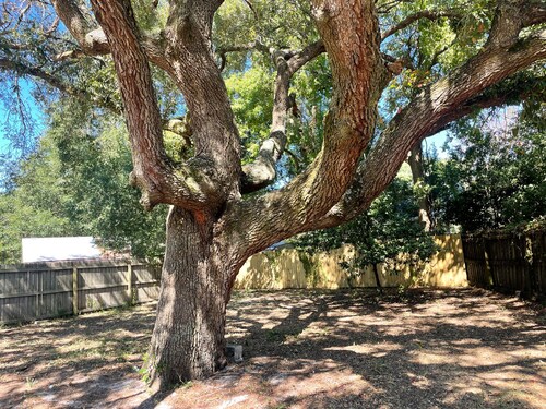 Downtown and Beach Adjacent Home in Neighborly Part of Town