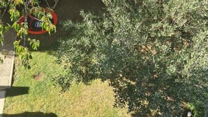 منظر من الجو على ارتفاع عالٍ