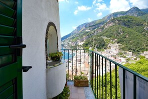 Property grounds - 10 mins from the beach in the most panoramic area of Amalfi (Amalfi)