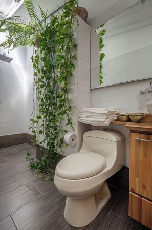 Une salle de bain avec des toilettes, un lavabo et un miroir. Une plante est suspendue au plafond et un rouleau de papier toilette est posé sur le sol.