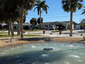 Property grounds - 5-Bedroom Water Front Vacation Home - Tropical Paradise with Breathtaking Views! (Port Richey)