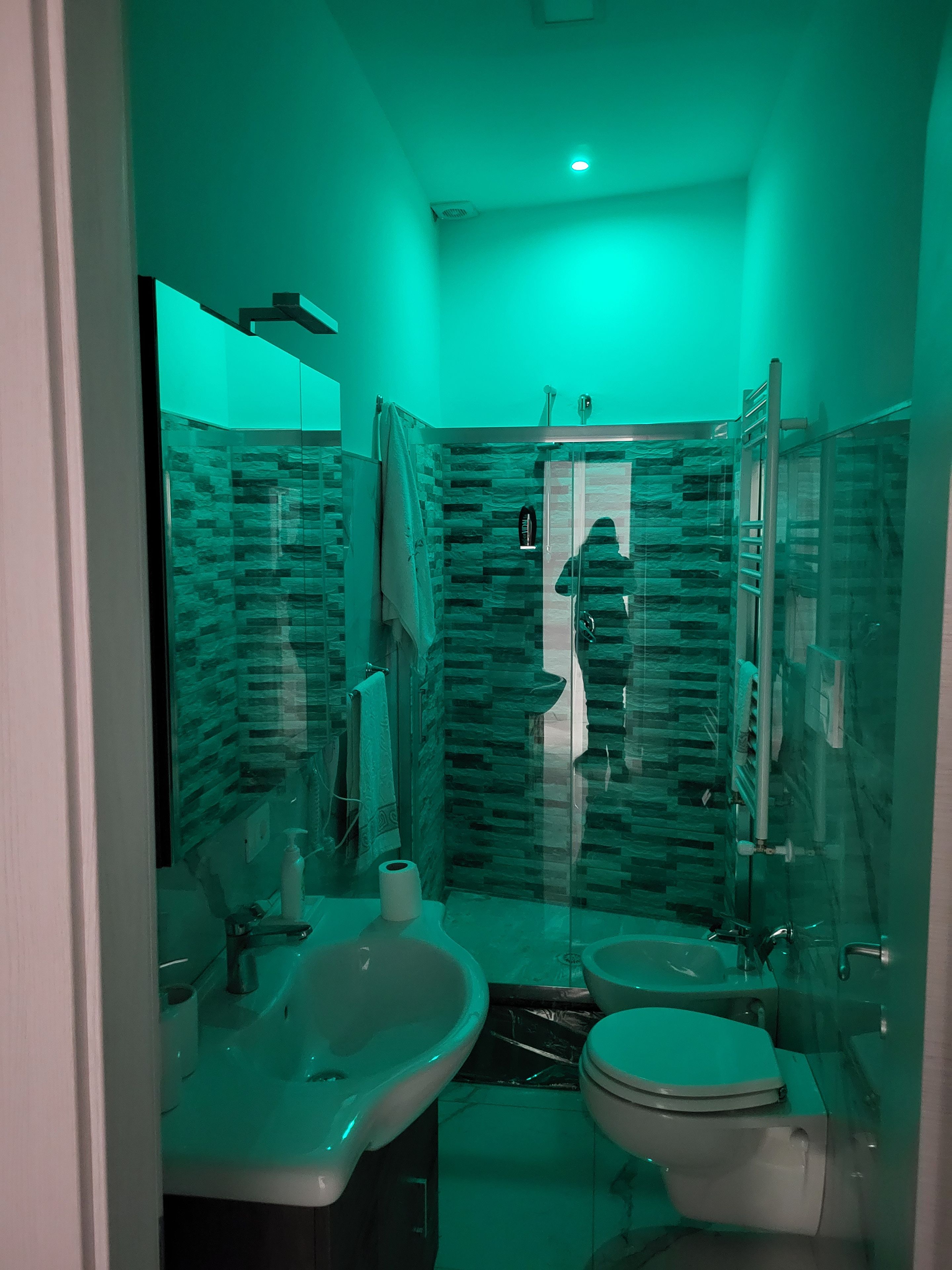 Et lille badeværelse med en glasbrusekabine, toilet og vask.